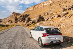 Can You Drive A Rental Car Out Of State?