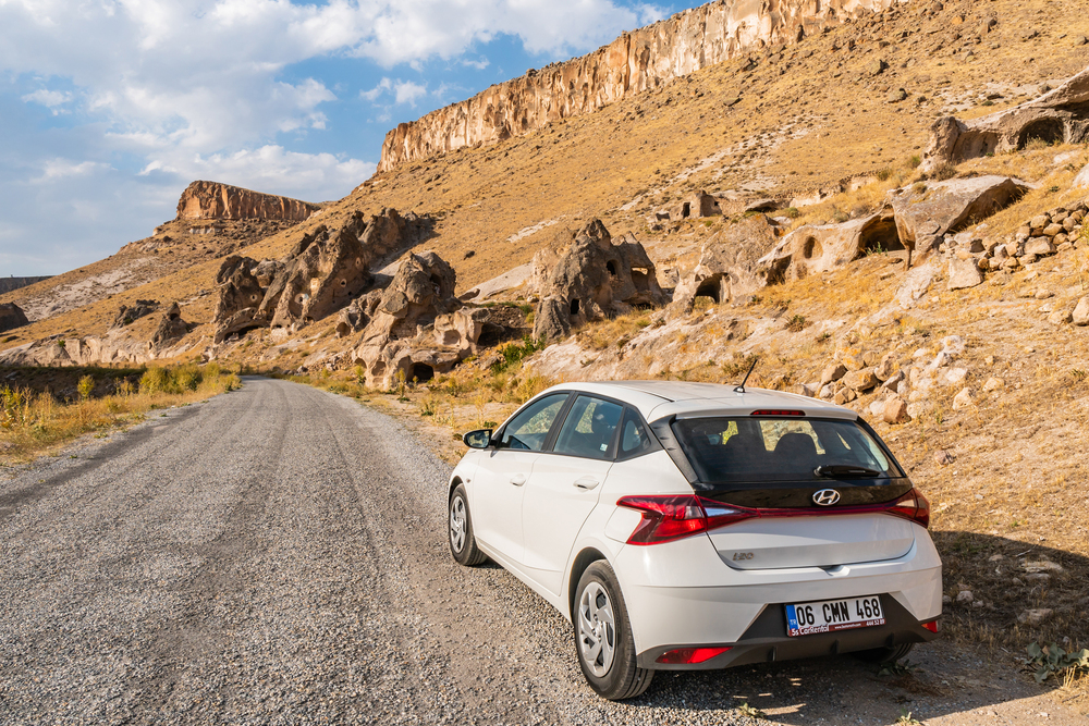 Can You Drive A Rental Car Out Of State?